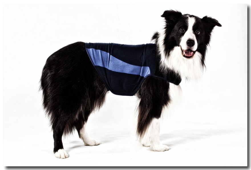 commercial photographer raleigh-thundershirt-black and blue vest