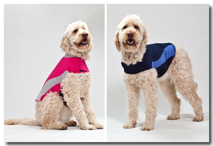 commercial photographer raleigh-thundershirt-pink and blue vest