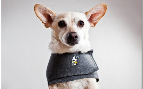 Product Photographers Raleigh and Thundershirt